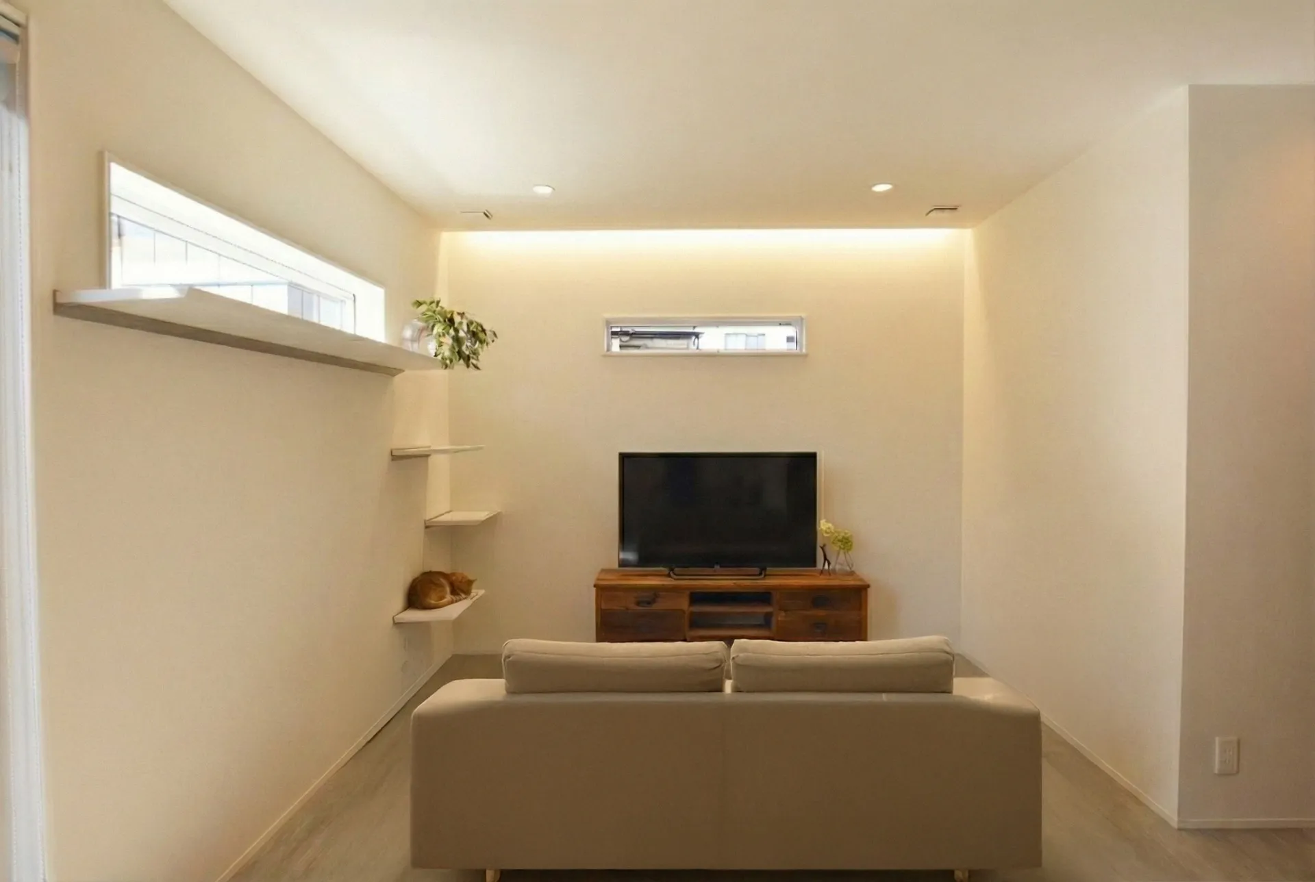 ネコのいる暮らし